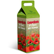 Kit Crescer  Papoilas e flores dos campos